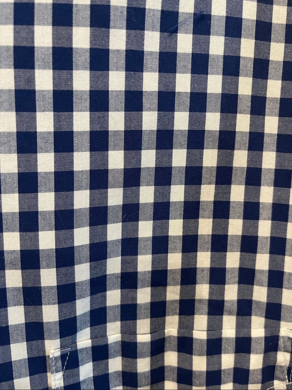 Beverly Hills Polo Club Blue and White Checked Button-Down Shirt - Picture 3 of 4
